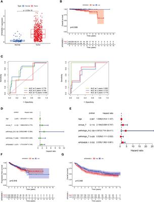 Prognostic significance of lncRNA AP004608.1 in prostate cancer